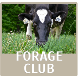 Forage Club - Ag Partners